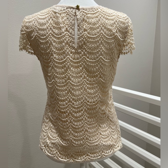 Banana Republic Scalloped Lace Tee (Stone Twill, 00P) - Picture 2 of 4